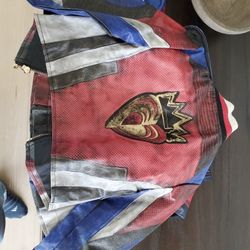 Descendents Evie Costume 