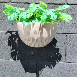 Wall Fake Plant 