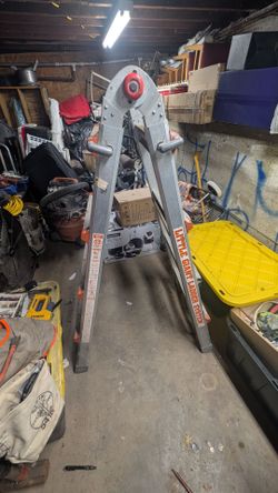 Ladder little giant