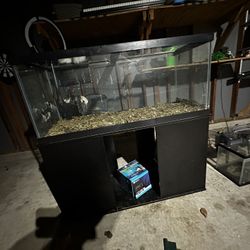 75 Gallon Tank And Stand!!!