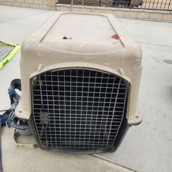Large Dog Kennel 