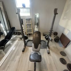 Weight Bench 