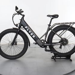 Flyer M880 E-Bike