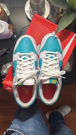 Nike dunks size 11 (used)
