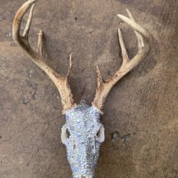 Bedazzled Wall Decor 