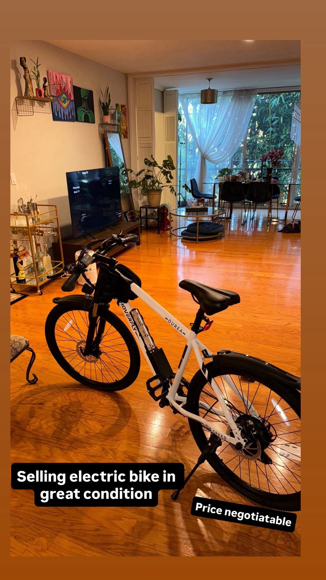 Great Electric Mountain Bike - Hoverfly Ourea