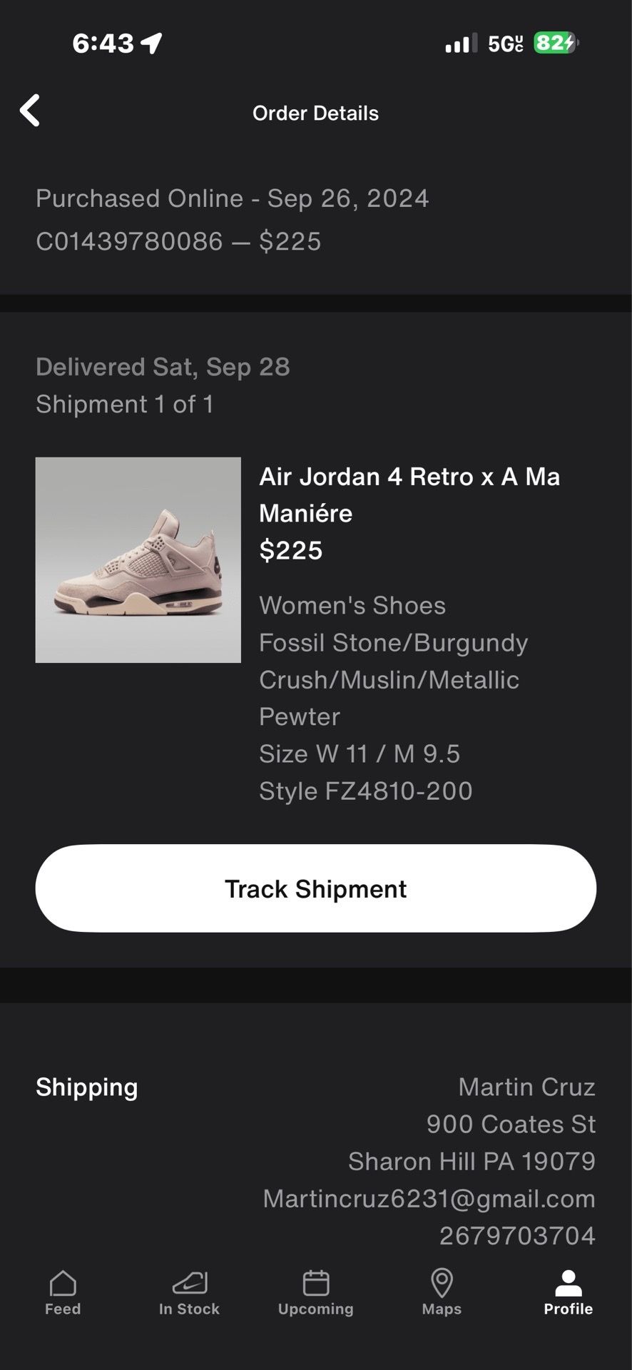 Jordan 4s