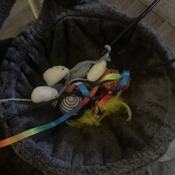 Pet Combo