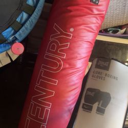 Century Punching Bag With L/XL Gloves 