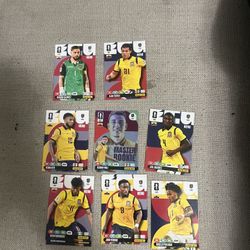 Panini adrenalyn XL WC 26 Cards Ecuador