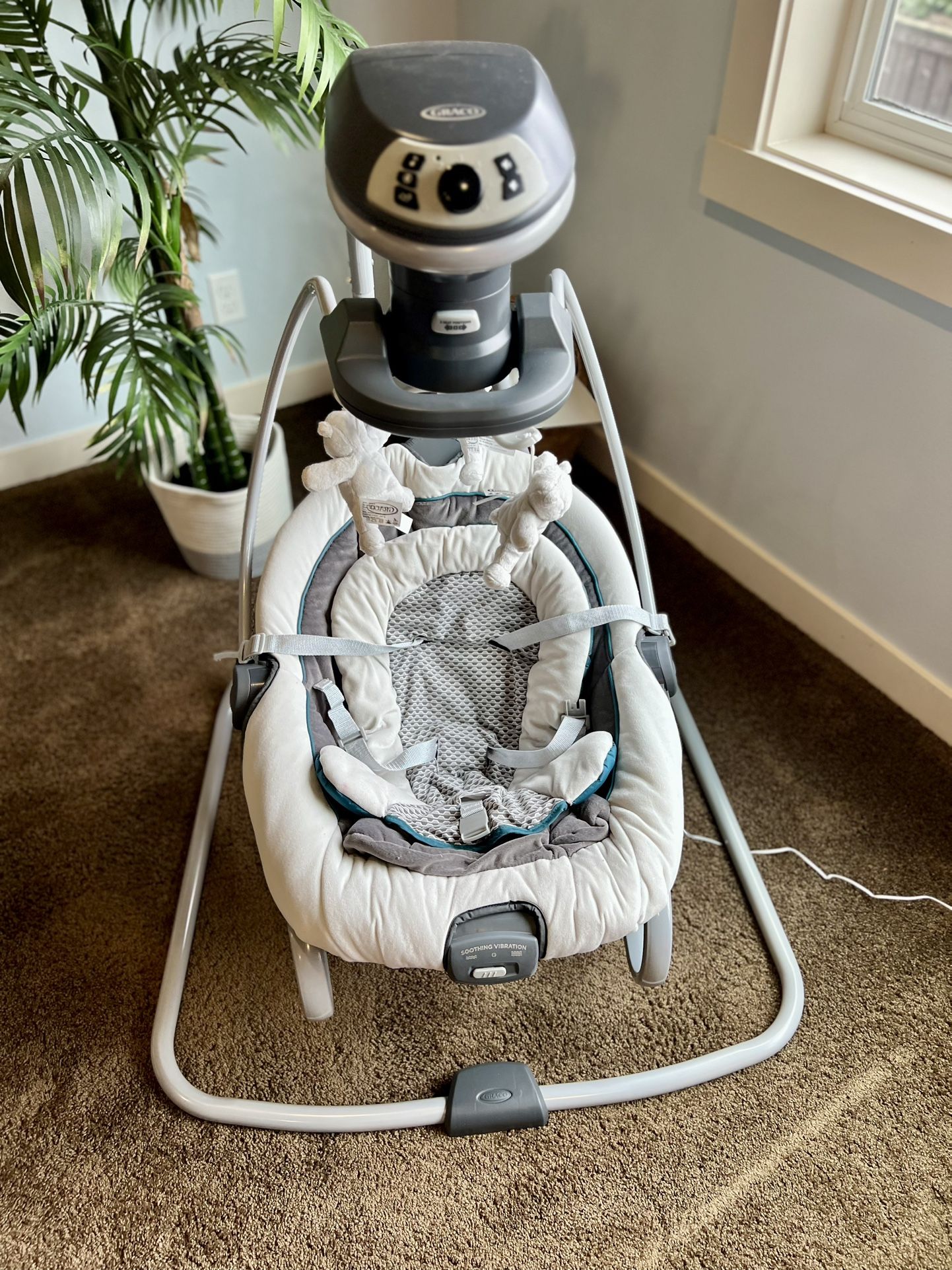 Graco Infant Swing And Rocker