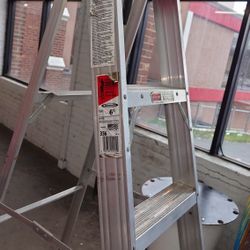 6 Feet Werner Ladder