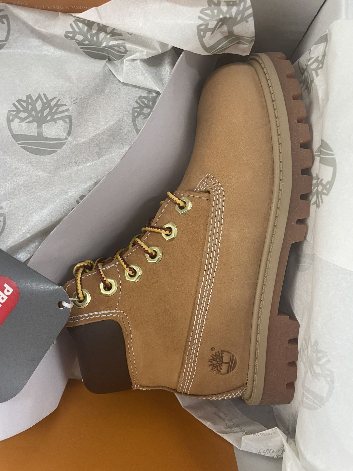 Little Kids Timberland Size 11c