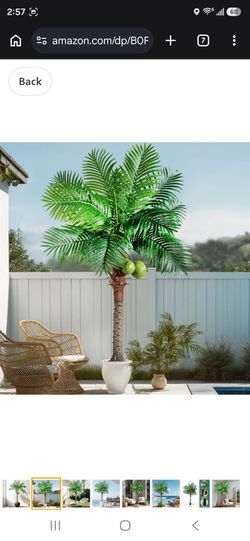 Artificial Phoenix Palm Tree 6ft