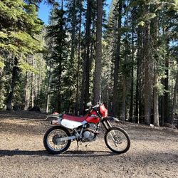 2006 Honda  650 Xr $4000  