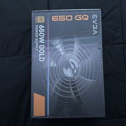 Evga 650w power supply