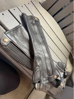 Riding chaps