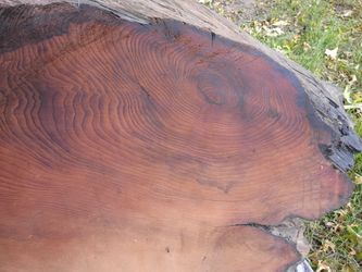 Live edge myrtlewood and old growth redwood for sale.
