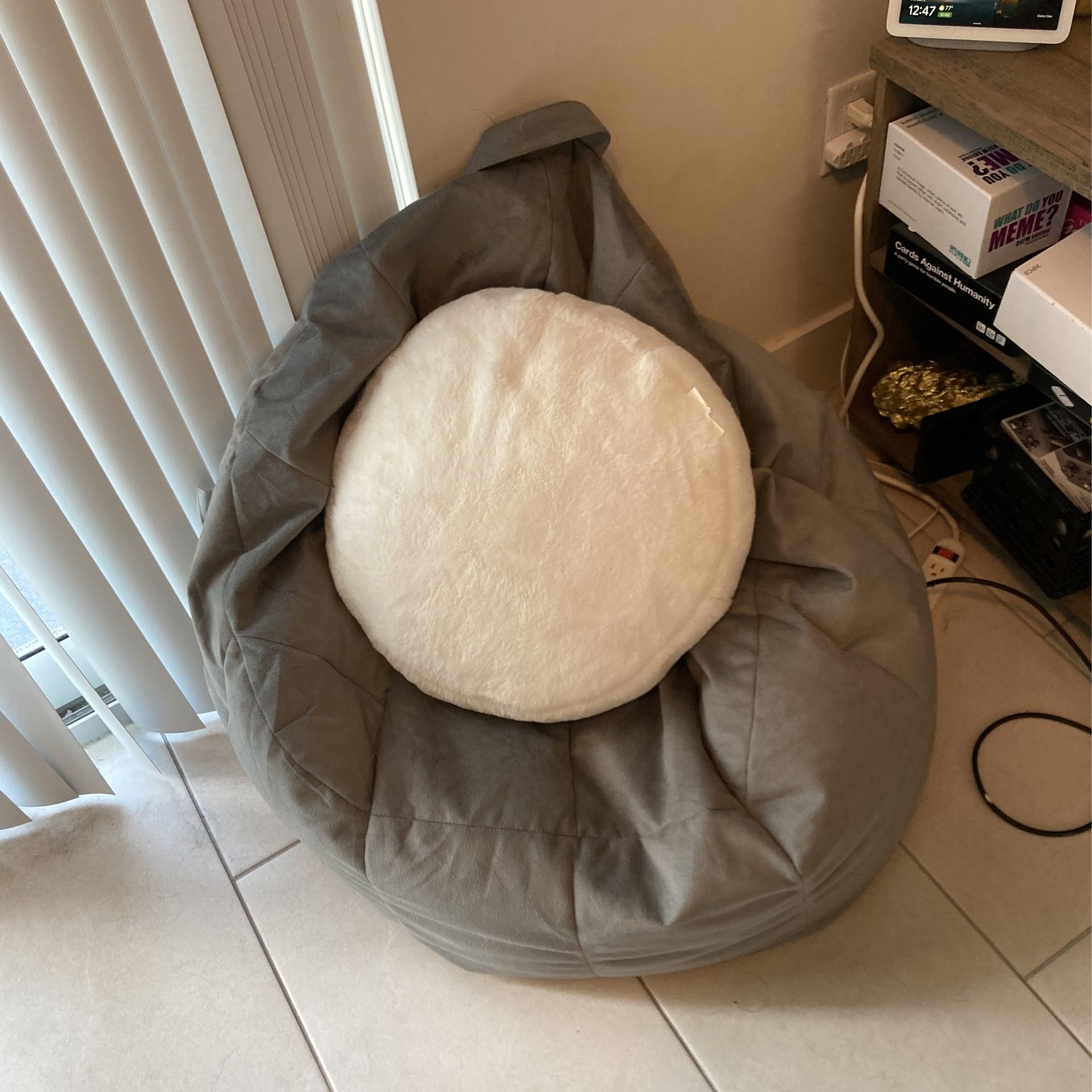 Bean Bag And Pillow Good Condition