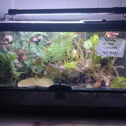 Bioactive Front Opening Tank