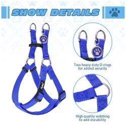 Harness