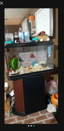 Fish Tank ,table Stand And Rocks.