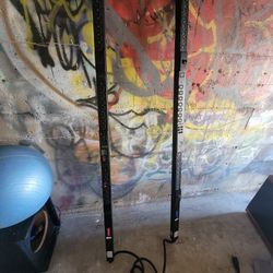 (2) APC AP8941 Switched Rack Power Distribution Units