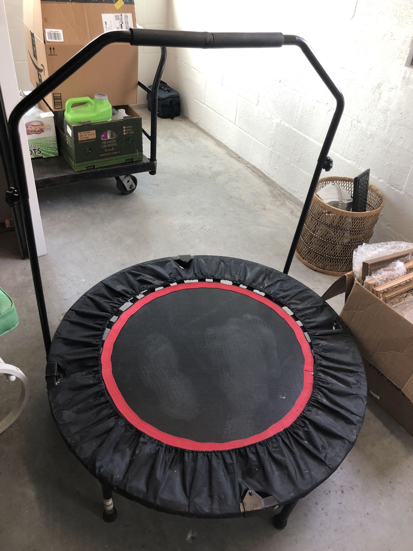 Gently Used Clean Adult sized Rebound Exerciser