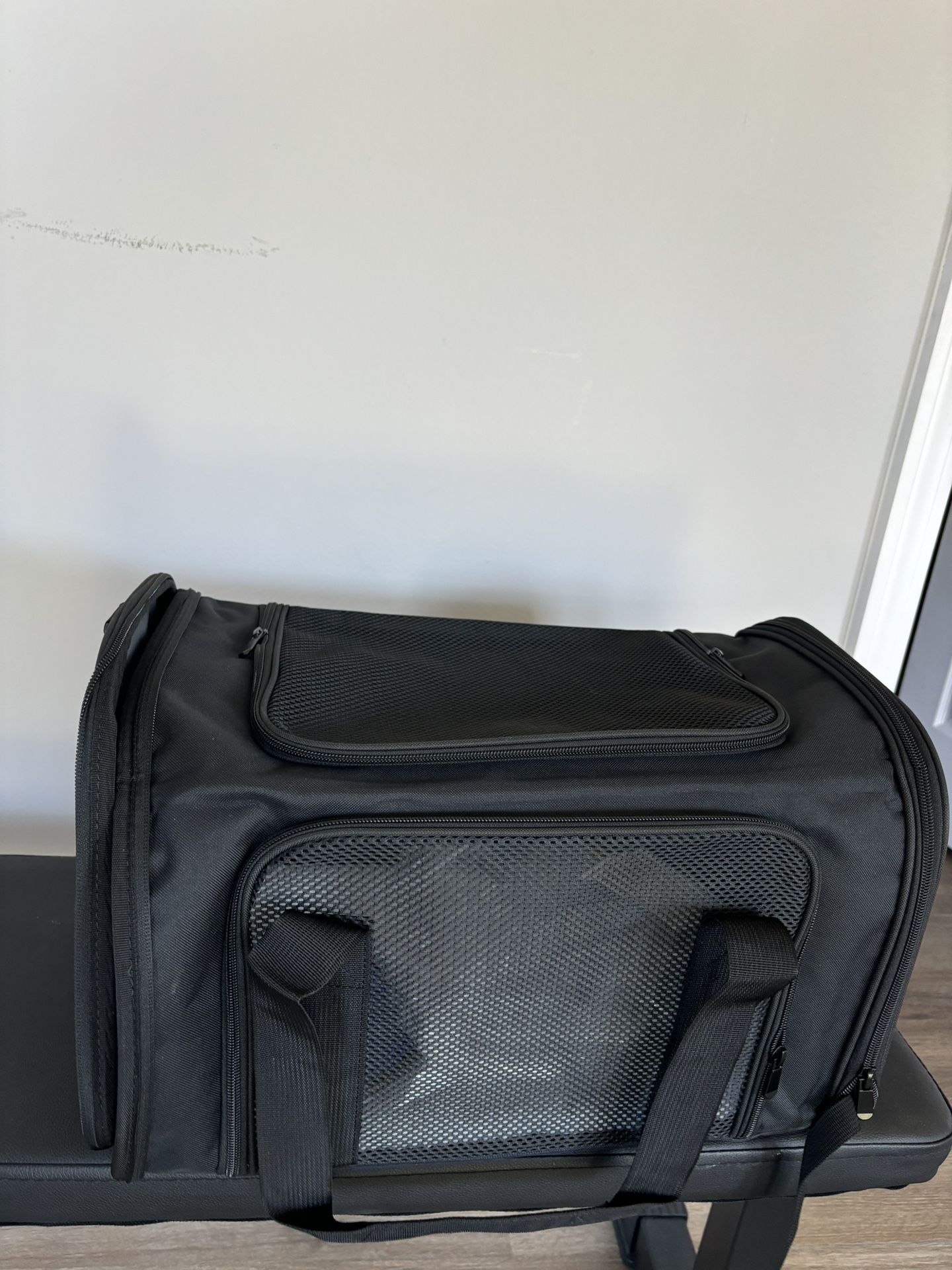 Brand New, Never Used Cat/Dog Carrier 