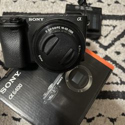 Sony Alpha 6400 W Accessories 