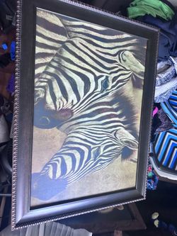 Zebra Canvas