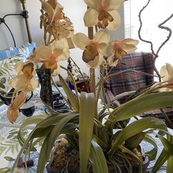 Beautifull Artificial  Arrangement  Yellowish Gold Iris Beautiful  For Buffet