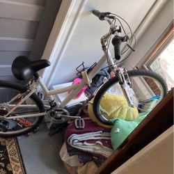 Nishiki Tamarack Mountain Bike 