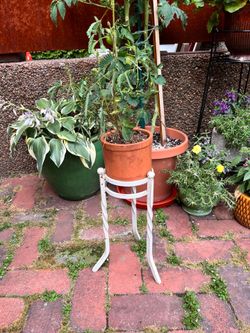 Vintage White Wrought Iron Plant Stand – Twisted Legs Shabby Chic