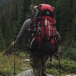 Gregory Denali Pro Backpack 