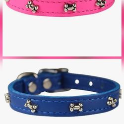 Puppy collars 😉 