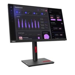 Lenovo ThinkVision T24i-30 Monitor
