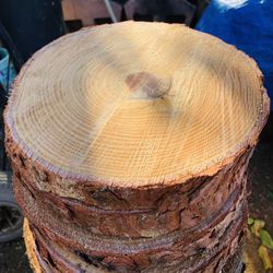 8 Inch Slices