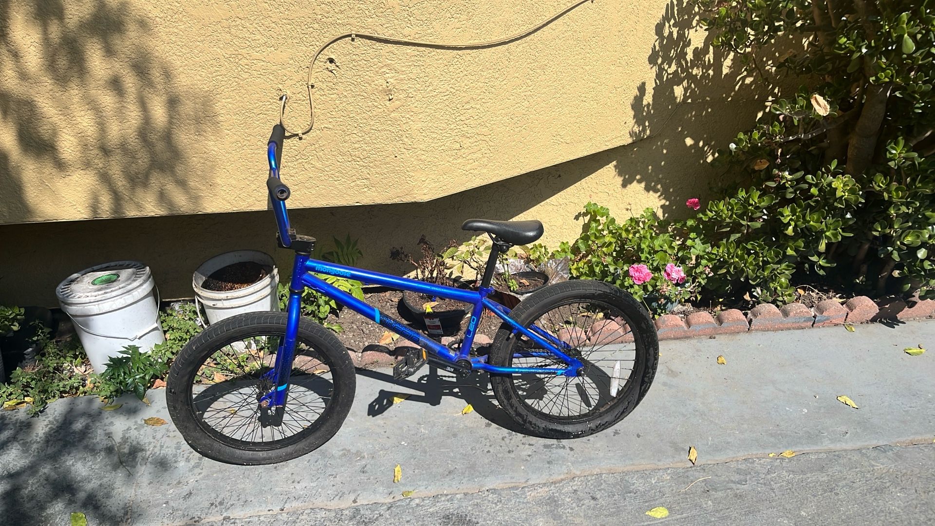 Mongoose L20