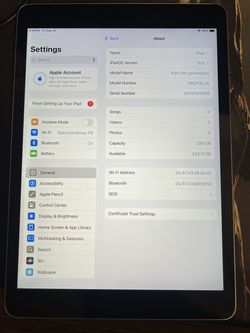 iPad 9 256GB WiFi Silver, Excellent - SN JG99D59G99