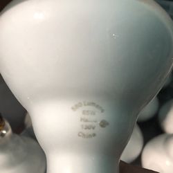 NEW 65 wt Floodlamps