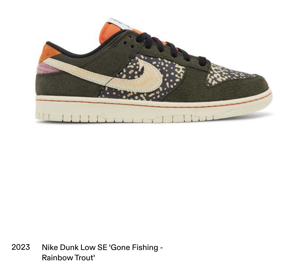 Nike Dunk Low Retro SE Shoes \