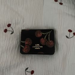 Coach Wallet On A Chain 