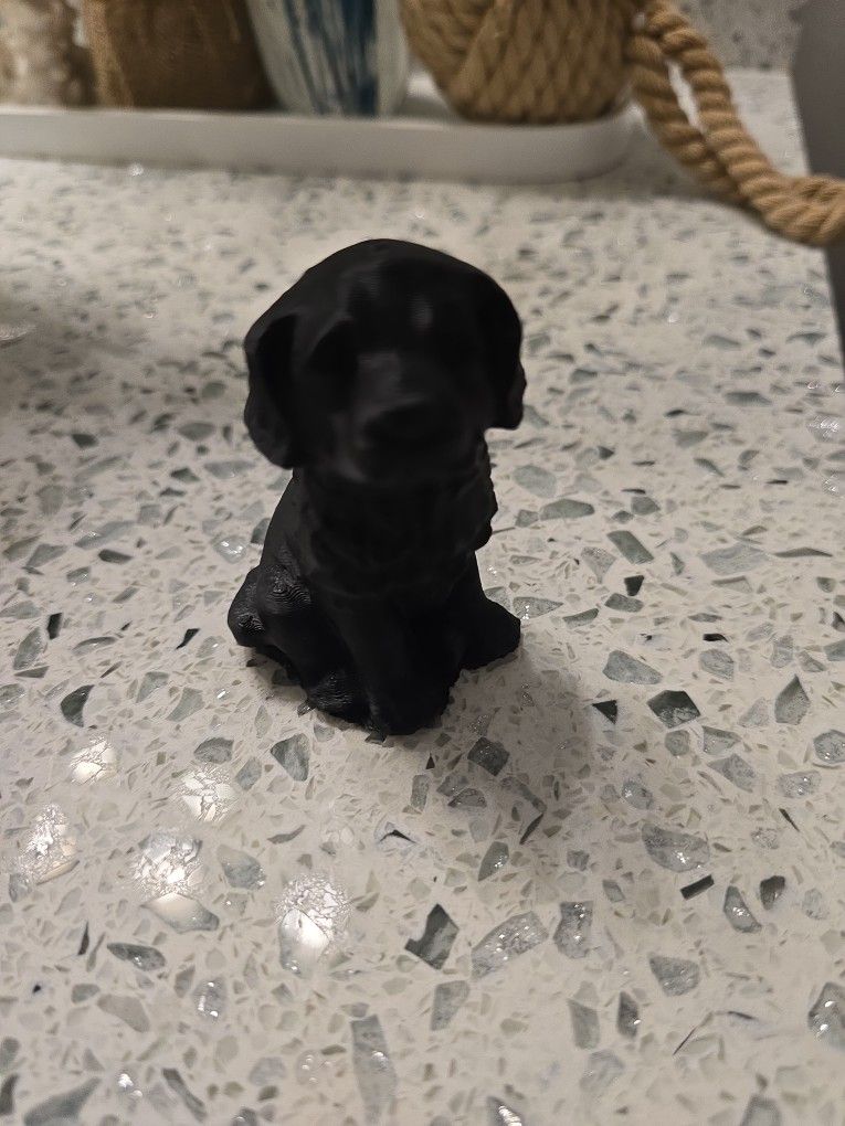 3d Printed Dog
