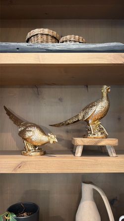 Pair of Gold Pheasants
