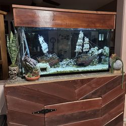 Large 90 Gallon Fresh Water Aquarium With Custom Stand 
