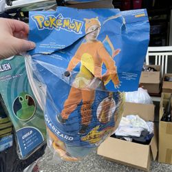 Charizard Costume