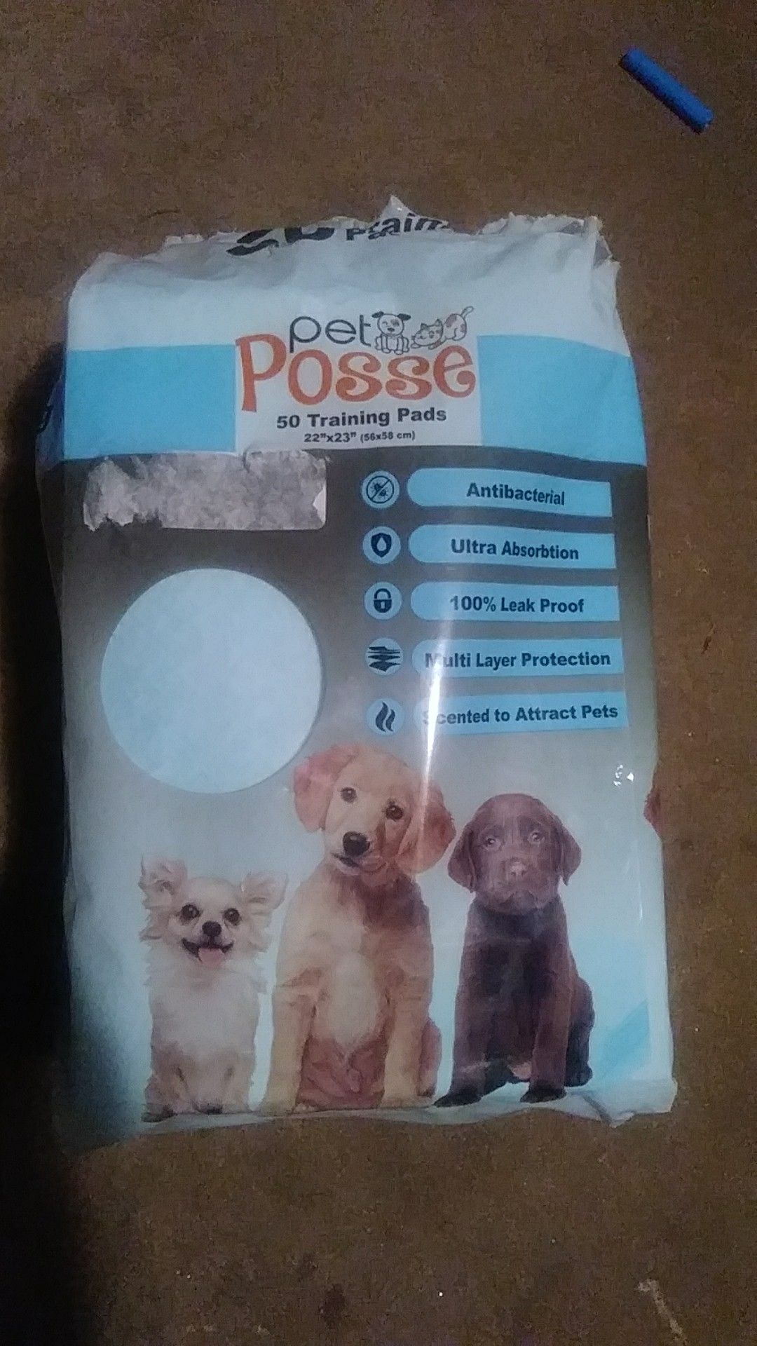 Pet Posse 50ct training pads 22"x23"