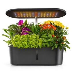 Indoor hydroponic garden with LED light