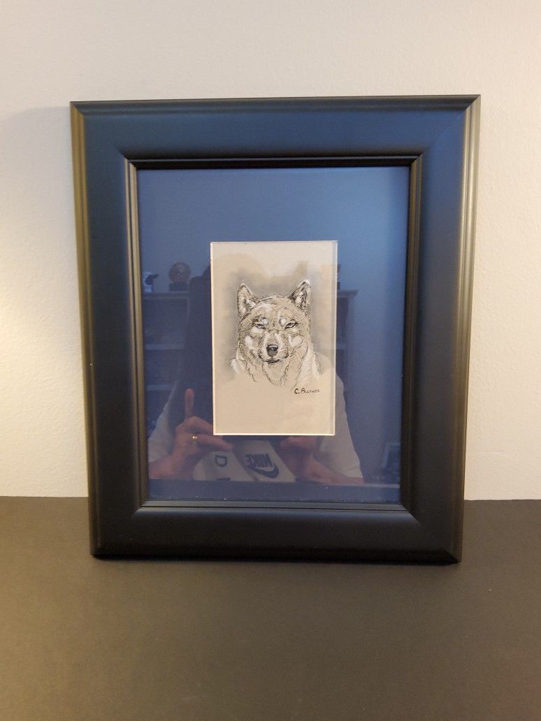 A Beautiful Picture Of A Wolf. It HAS a nice Frame With Mat . Size . 13"× 11"